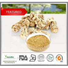 100% Natural High Quality Chinese Angelica Root Extract Dong Quai Extract Powder